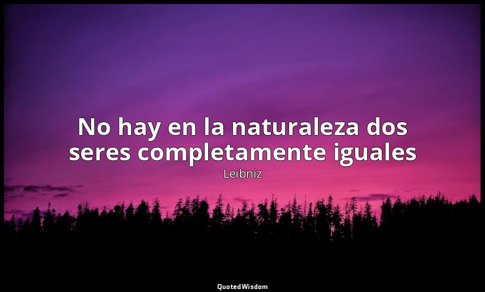 No hay en la naturaleza dos seres completamente iguales — Leibniz