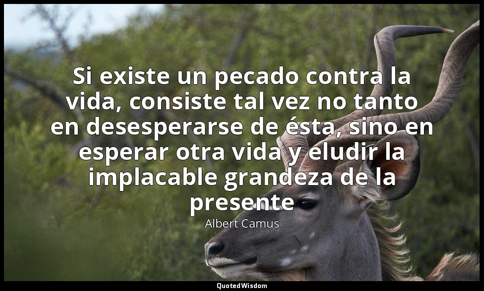 Si existe un pecado contra la vida, consiste tal vez no tanto en desesperarse de — Albert Camus