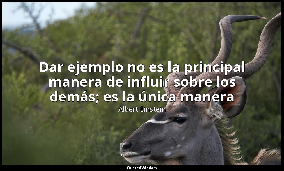 Dar ejemplo no es la principal manera de influir sobre los demás; es la única ma — Albert Einstein