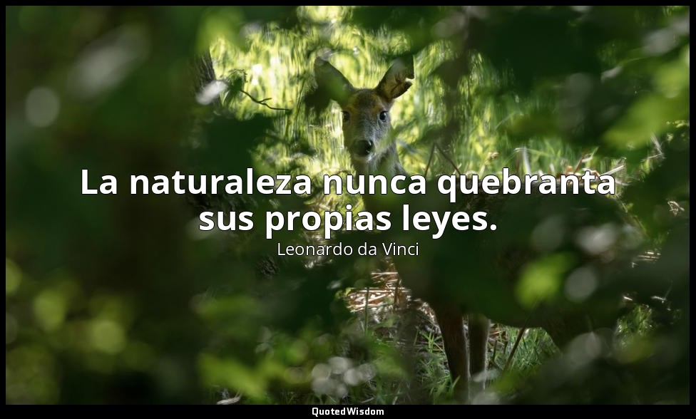 La naturaleza nunca quebranta sus propias leyes. — Leonardo da Vinci