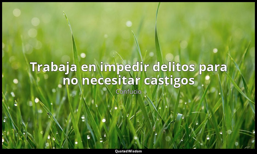 Trabaja en impedir delitos para no necesitar castigos — Confucio