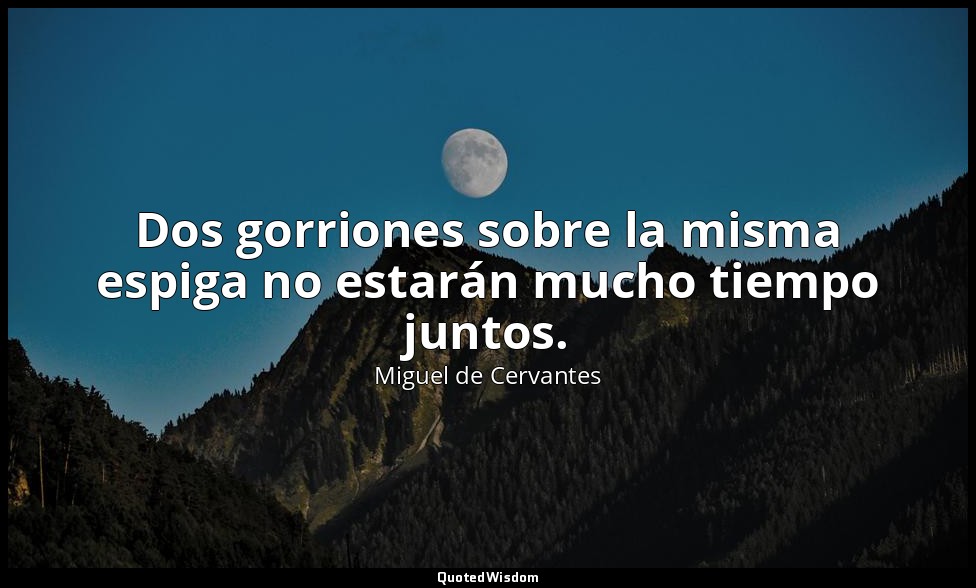 Dos gorriones sobre la misma espiga no estarán mucho tiempo juntos. — Miguel de Cervantes