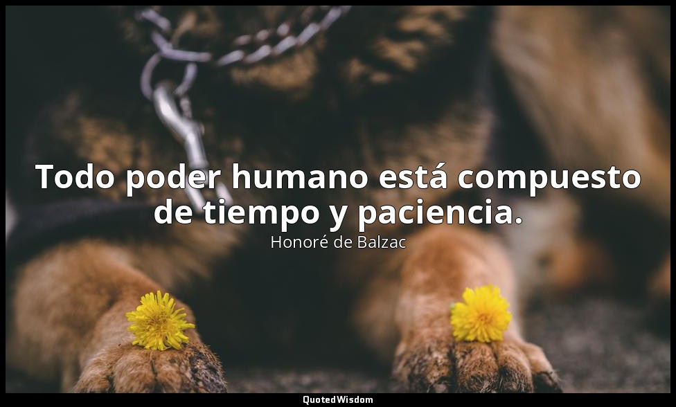 Todo poder humano está compuesto de tiempo y paciencia. — Honoré de Balzac