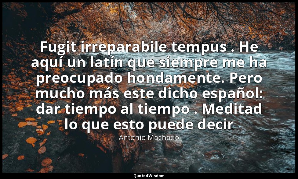 Fugit irreparabile tempus . He aquí un latín que siempre me ha preocupado hondam — Antonio Machado