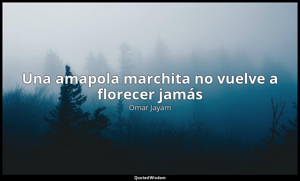 Una amapola marchita no vuelve a florecer jamás — Omar Jayam