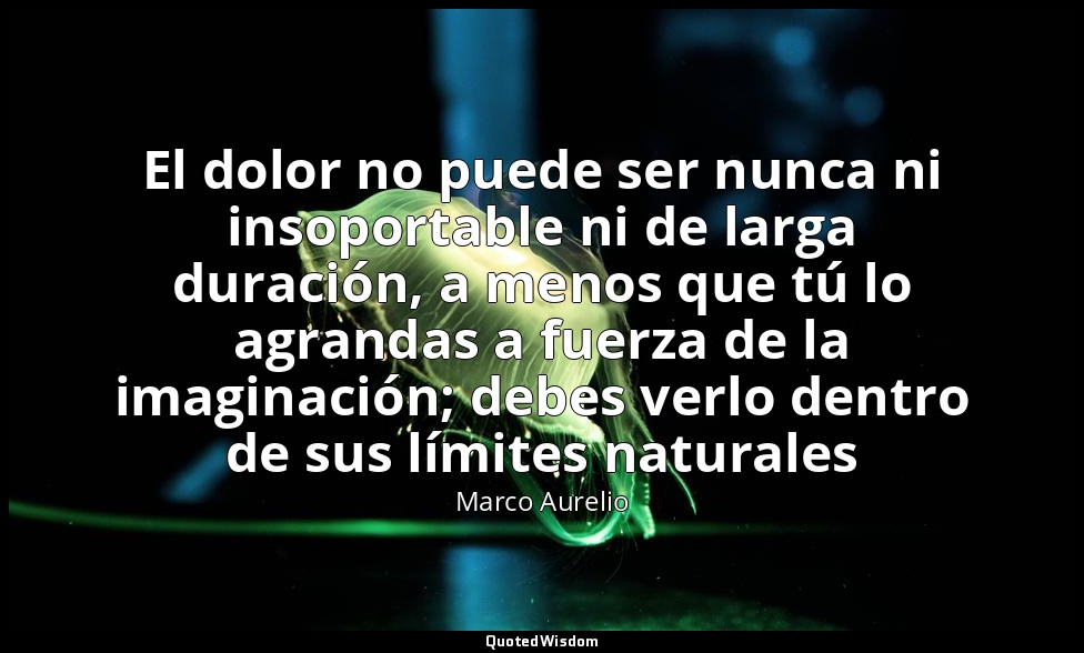 El dolor no puede ser nunca ni insoportable ni de larga duración, a menos que tú — Marco Aurelio