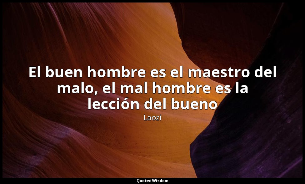 El buen hombre es el maestro del malo, el mal hombre es la lección del bueno — Laozi