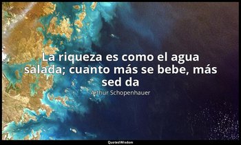 «La riqueza es como el agua salada; cuanto más se bebe, más sed da». — Arthur Schopenhauer
