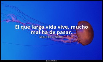 El que larga vida vive, mucho mal ha de pasar. — Miguel de Cervantes