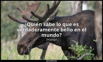 «¿Quién sabe lo que es verdaderamente bello en el mundo?». — Zhuangzi