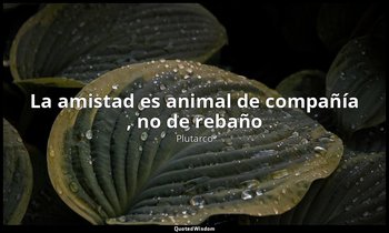 «La amistad es animal de compañía , no de rebaño ». — Plutarco