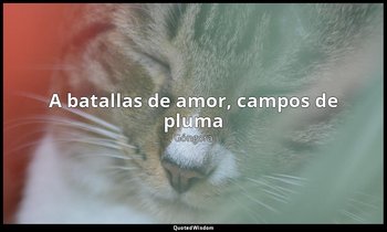 «A batallas de amor, campos de pluma». — Góngora