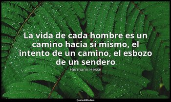 «La vida de cada hombre es un camino hacia sí mismo, el intento de un camino, el — Hermann Hesse