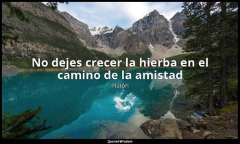«No dejes crecer la hierba en el camino de la amistad ». — Platón