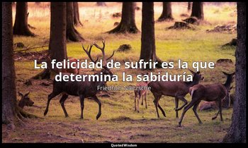 «La felicidad de sufrir es la que determina la sabiduría». — Friedrich Nietzsche