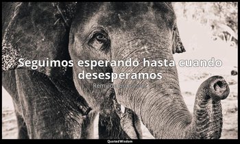 «Seguimos esperando hasta cuando desesperamos». — Remy de Gourmont