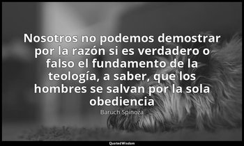 «Nosotros no podemos demostrar por la razón si es verdadero o falso el fundament — Baruch Spinoza