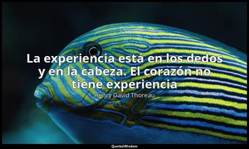 «La experiencia está en los dedos y en la cabeza. El corazón no tiene experienci — Henry David Thoreau