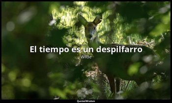 «El tiempo es un despilfarro». — Wilde