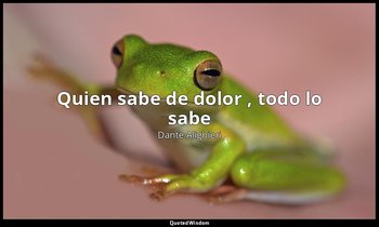«Quien sabe de dolor , todo lo sabe». — Dante Alighieri