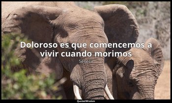 «Doloroso es que comencemos a vivir cuando morimos». — Séneca
