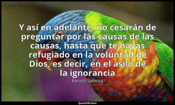 «Y así en adelante, no cesarán de preguntar por las causas de las causas, hasta  — Baruch Spinoza