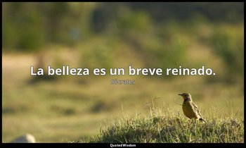 La belleza es un breve reinado. — Sócrates