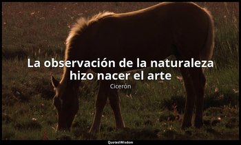 «La observación de la naturaleza hizo nacer el arte». — Cicerón