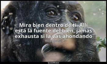 «Mira bien dentro de ti. Allí está la fuente del bien, jamás exhausta si la vas  — Marco Aurelio