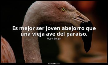 Es mejor ser joven abejorro que una vieja ave del paraíso. — Mark Twain