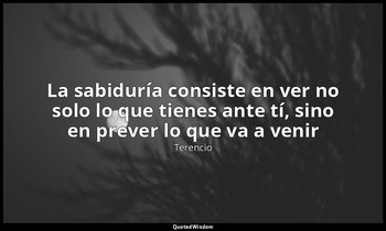«La sabiduría consiste en ver no solo lo que tienes ante tí, sino en prever lo q — Terencio