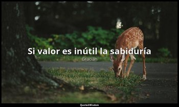 «Si valor es inútil la sabiduría». — Gracián