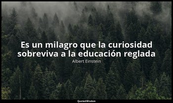 «Es un milagro que la curiosidad sobreviva a la educación reglada». — Albert Einstein