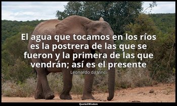 «El agua que tocamos en los ríos es la postrera de las que se fueron y la primer — Leonardo da Vinci