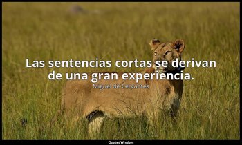 Las sentencias cortas se derivan de una gran experiencia. — Miguel de Cervantes