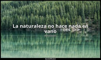 «La naturaleza no hace nada en vano ». — Aristóteles