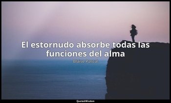 «El estornudo absorbe todas las funciones del alma». — Blaise Pascal