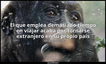 «El que emplea demasiado tiempo en viajar acaba por tornarse extranjero en su pr — René Descartes