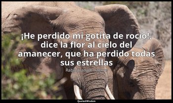 «¡He perdido mi gotita de rocío!, dice la flor al cielo del amanecer, que ha per — Rabindranath Tagore