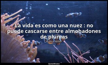 «La vida es como una nuez : no puede cascarse entre almohadones de plumas». — Arthur Miller