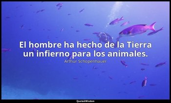 El hombre ha hecho de la Tierra un infierno para los animales. — Arthur Schopenhauer