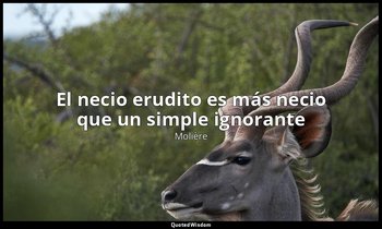 «El necio erudito es más necio que un simple ignorante». — Molière