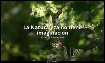 «La Naturaleza no tiene imaginación». — Charles Baudelaire