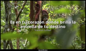 «Es en tu corazón donde brilla la estrella de tu destino». — Friedrich Schiller