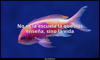 «No es la escuela la que nos enseña, sino la vida ». — Séneca