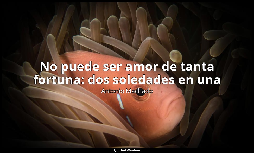 No puede ser amor de tanta fortuna: dos soledades en una — Antonio Machado