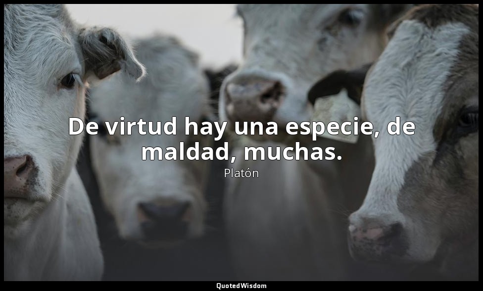 De virtud hay una especie, de maldad, muchas. — Platón