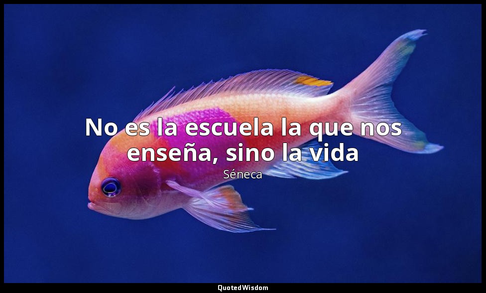 No es la escuela la que nos enseña, sino la vida — Séneca