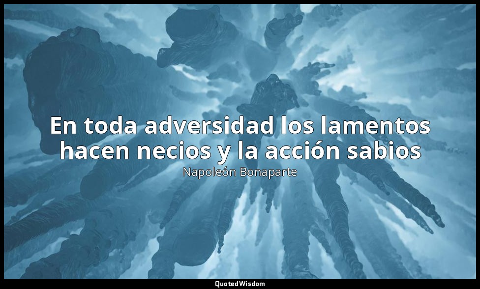 En toda adversidad los lamentos hacen necios y la acción sabios — Napoleón Bonaparte