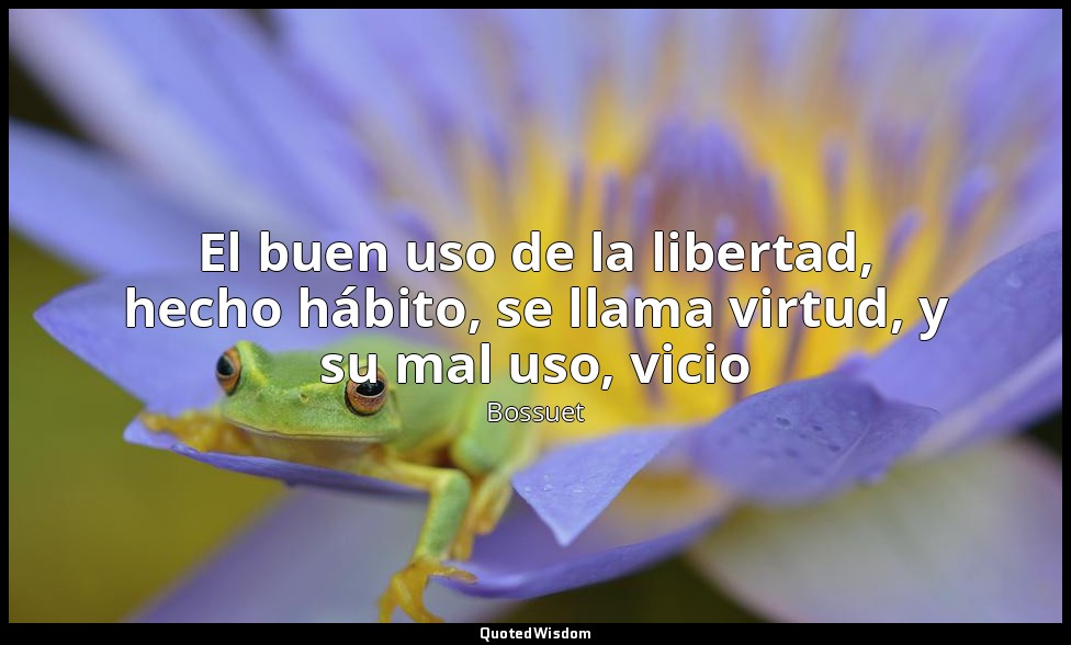 El buen uso de la libertad, hecho hábito, se llama virtud, y su mal uso, vicio — Bossuet